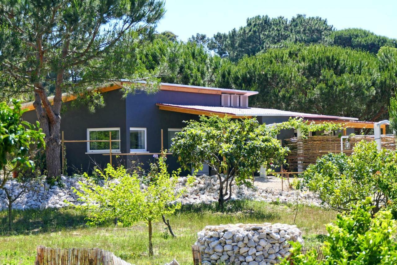 ألديا دو ميكو Quinta Do Meco - Beach & Nature المظهر الخارجي الصورة