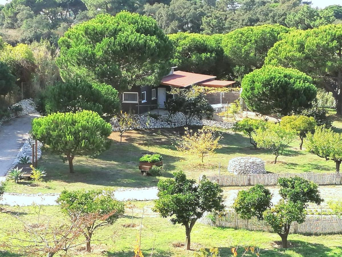 ألديا دو ميكو Quinta Do Meco - Beach & Nature المظهر الخارجي الصورة